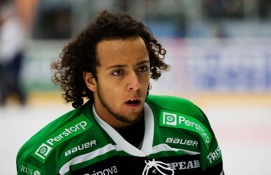 Alexander Lindqvist Hansen, RÖgle