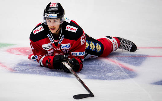 Nicklas Jadeland, Malmö Redhawks, deppar