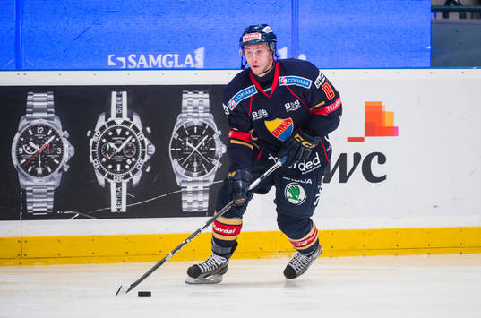 Dustin Johner, Djurgården