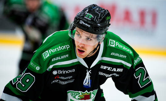 Alexander Barta, Rögle