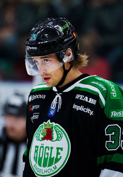 Daniel Sondell, Rögle