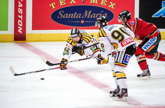 Mats Lavander, Brynäs, kastar sig