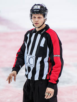 Jari Leppäalho, domare