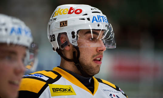 Johan Alm, Skellefteå