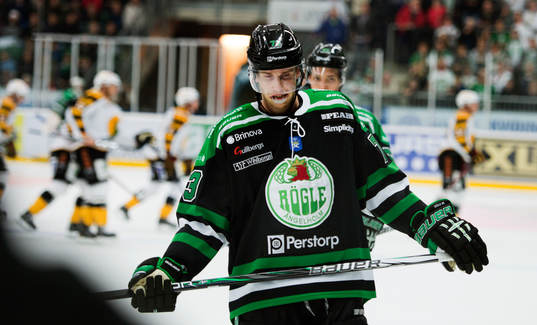 Mike Iggulden, Rögle deppar