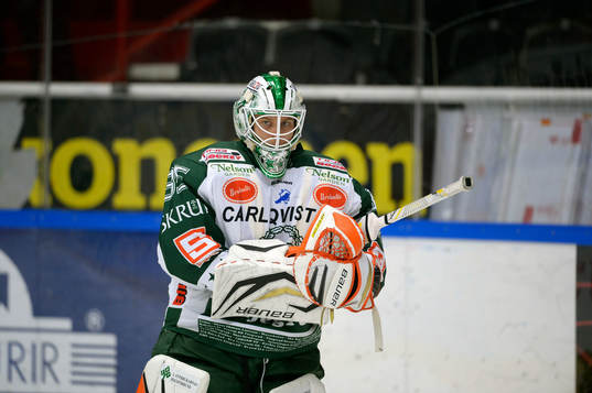 Viktor, Fasth, målvakt Tingsryd