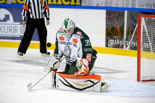 Viktor, Fasth, målvakt Tingsryd