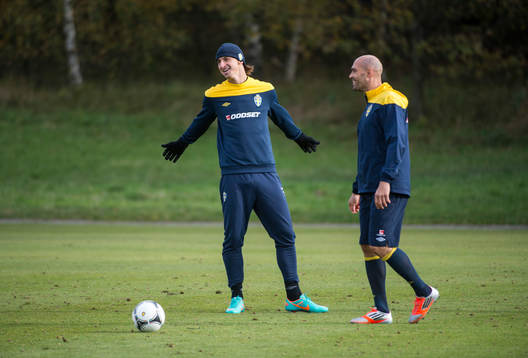 Zlatan Ibrahimovic och Daniel Majstorovic