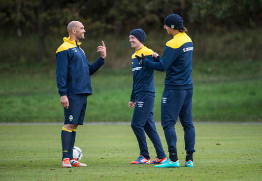 Daniel Majstorovic, Christian Wilhelmsson och Zlatan