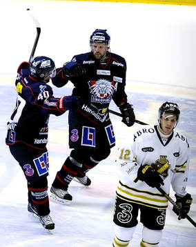 Niclas Hävelid, Linköping jublar