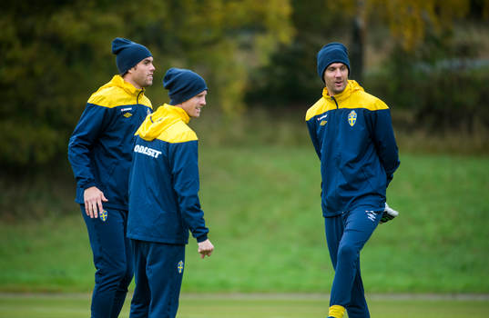 Johan Elmander, Christian Wilhelmsson och Andreas