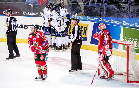 HV71, jublar