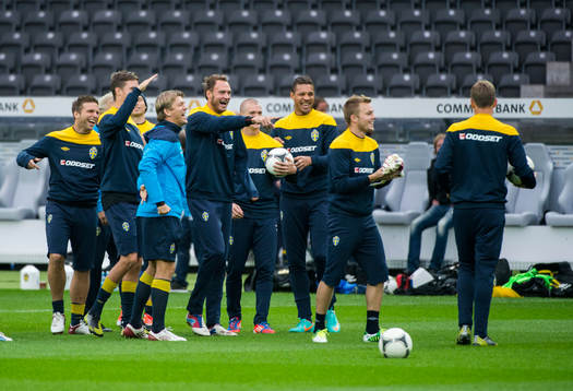 Bläddra bland fler bilder av Fotboll, Inför VM-Kval, Sverige