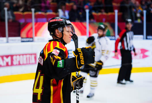 Mads Hansen, Brynäs, jublar