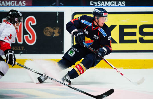 Gabriel Landeskog, Djurgården