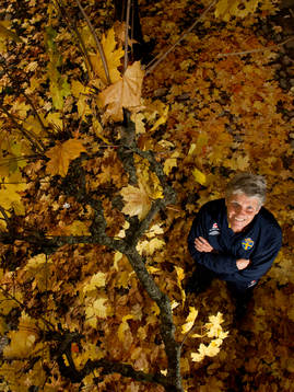 Pia Sundhage, förbundskapten