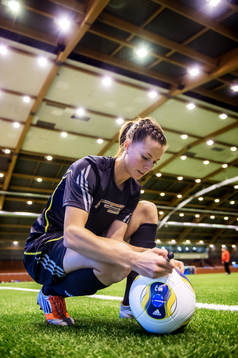 Lotta Schelin, Sverige