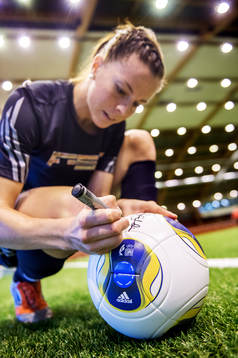 Lotta Schelin, Sverige