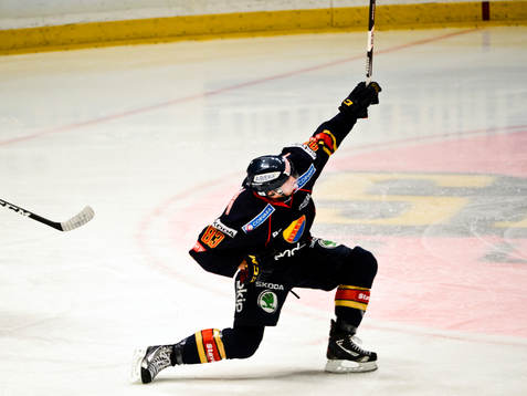 Dustin Johner, Djurgården