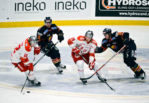 Henrik Eriksson, Troja-Ljungby, Dustin Johner, Djurgården,