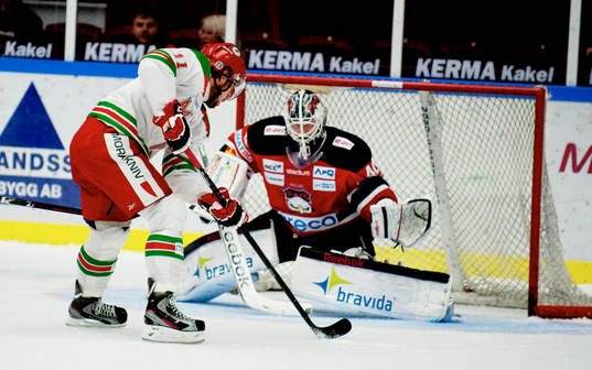 Anze Kopitar, Mora mot Pontus Sjögren, Malmö