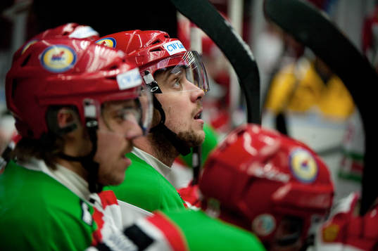 Bröderna Kopitar. Gasper Kopitar och Anze Kopitar, Mora