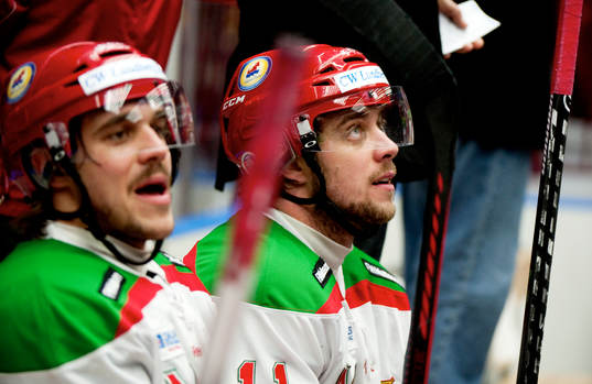 Bröderna Kopitar. Gasper Kopitar och Anze Kopitar, Mora