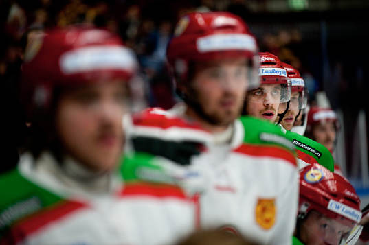 Anze Kopitar, Mora