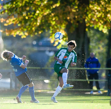 Höstidyll. gulgröna höstfärger, höstprakt
