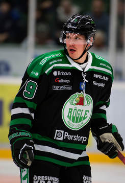 Fredrik Warg, Rögle gör comeback