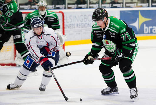 Pär Albrandt, Linköping, Fredrik Warg, Rögle