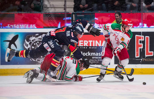 Douglas Murray, Djurgården sträcker sig