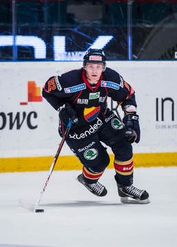 Gabriel Landeskog, Djurgården