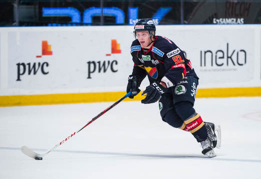 Gabriel Landeskog, Djurgården