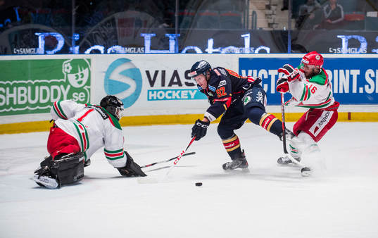 Gabriel Landeskog, Djurgården knuffas in i Ervins
