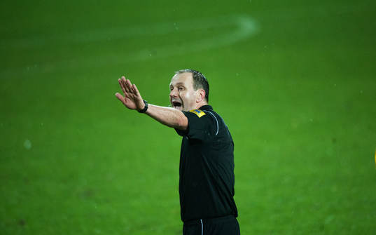 Jonas Eriksson, domare