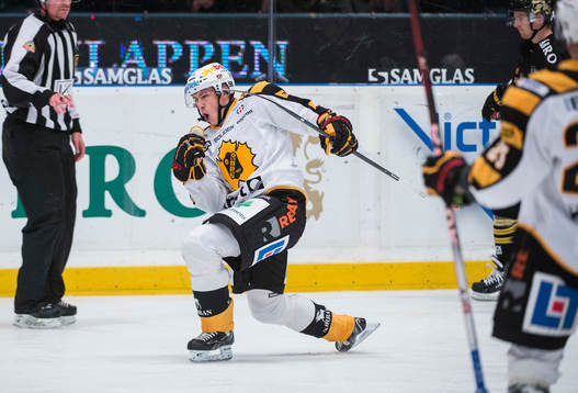 Martin Sevc, Skellefteå jublar