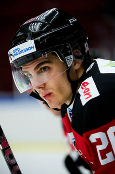 Henrik Hetta, Malmö Redhawks