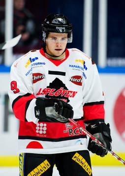 Dion Knelsen, Asplöven