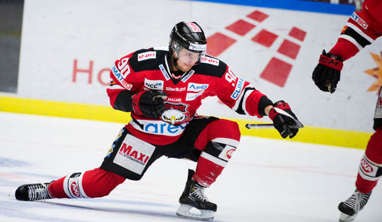 Fredrik Storm, Malmö Redhawks, jublar