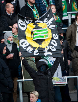 Hammarby, suportrar, maskerad, åskådare