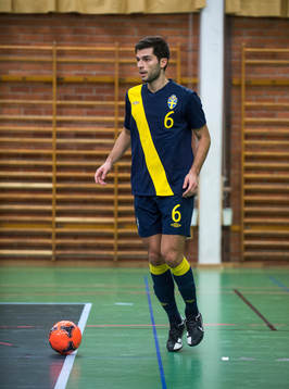 Eldin Kozica
