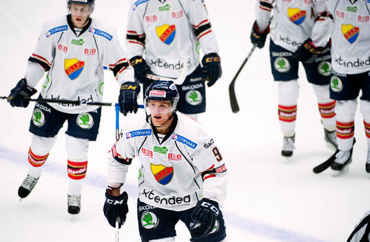 Gabriel Landeskog, Djurgården