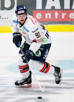 Gabriel Landeskog, Djurgården