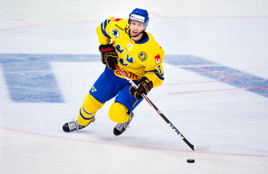 Niclas Burström, Sverige