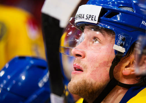 Victor Hedman, Sverige