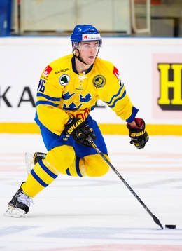Tobias Viklund, Sverige