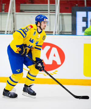 Mattias Karlsson, Sverige