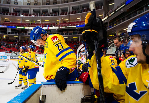 Patric Hörnqvist, Sverige
