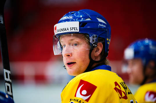 Richard Gynge, Sverige